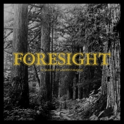 Foresight - In search of understanding LP 12"