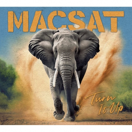 Macsat - Turn it up CD