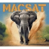 Macsat - Turn it up CD