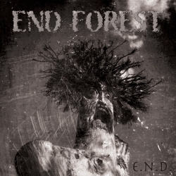 End Forest - E.N.D. LP 12"