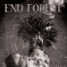 End Forest - E.N.D. LP 12"