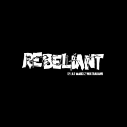 Rebeliant - 12 Lat Walki Z Wiatrakami 2xLP 12"