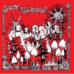 Świat Czarownic - Hokka Hey LP 12"