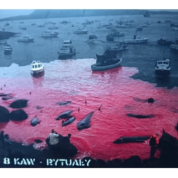 8 Kaw - Rytuały CD