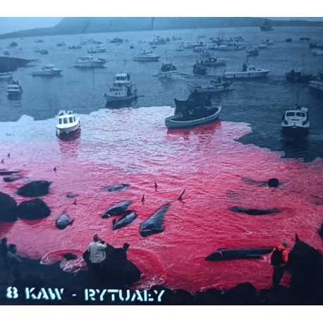 8 Kaw - Rytuały CD