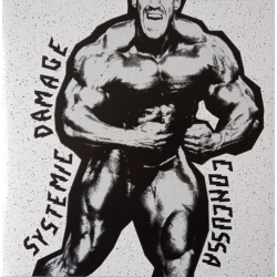 Systemic Damage - Concussa LP 12"