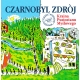 Czarnobyl Zdrój - Kraina Pustostanu Myślowego LP 12"