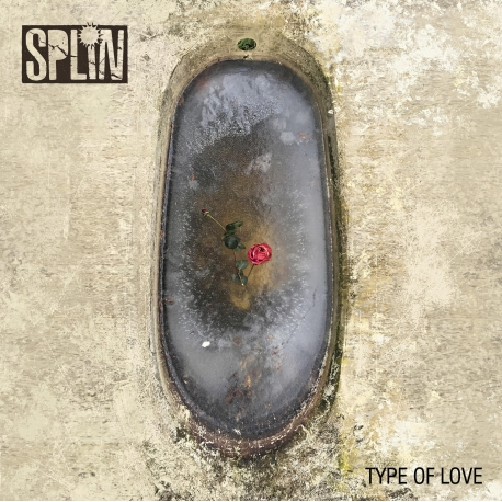 Splin - Type of love LP 12"