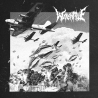 Witchrite – MMXXIV CD